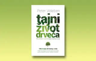 Prikaz knjige „Tajni život drveća“: Zaljubljen u šumu