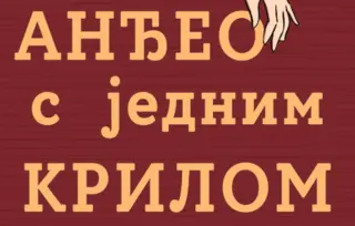 Prikaz romana „Anđeo s jednim krilom“ Ljiljane Šarac