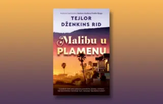 Prikaz knjige „Malibu u plamenu“: Porodična drama epskih razmera u 24 sata!