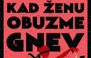 Prikaz romana „Kad ženu obuzme gnev“: Suđenje bez suda
