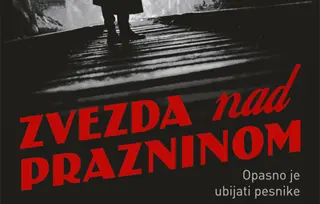 Prikaz romana „Zvezda nad prazninom“ Dejana Stojiljkovića