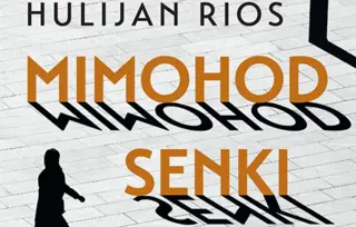 Prikaz romana „Mimohod senke“ Hulijana Riosa: Zagledan u senke