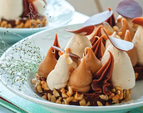 Plazmastičarnica 2.0 – knjiga recepata pisana srcem - slika 1