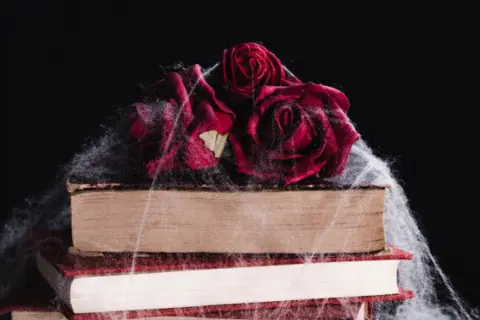 Gotika – žanr koji su oživele dve žene - slika 1