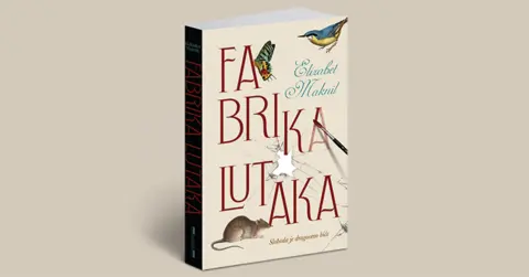 Intervju sa Elizabet Maknil, autorkom romana „Fabrika lutaka“ - slika 1