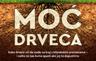 Prikaz knjige „Moć drveća“: Budućnost može biti zelena!