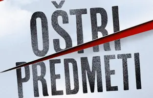 Džilijen Flin ne želi da piše o ženama kakve biste vi hteli da vidite - slika 1