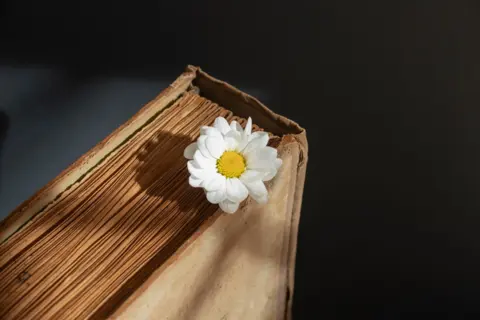 Untitled-1-4