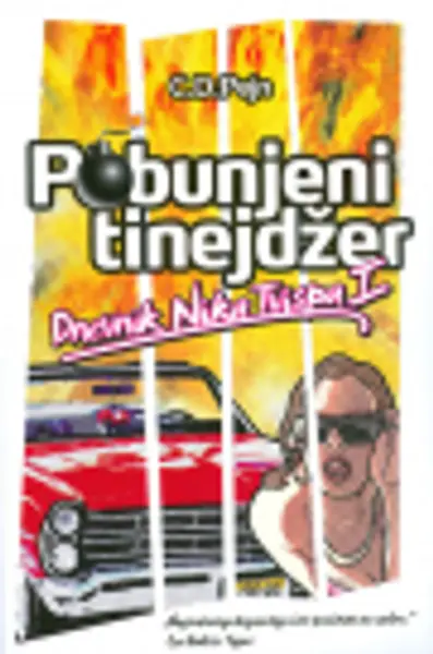 Slika 0 - Pobunjeni tinejdžer