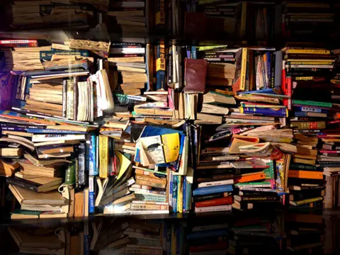 Peter Voleben: Nijedna mreža nije društvenija od šume - slika 1