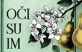 Prikaz romana „Oči su im gledale u Boga“: Velika mama Zora