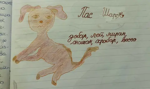 Prikaz mladih kritičara: „Doživljaji mačka Toše“ - slika 1