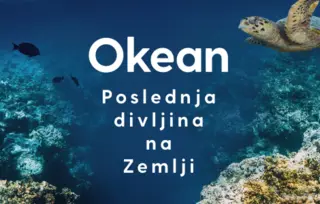 „Okean“ Dejvida Atenboroa i Kolina Batlfilda u prodaji od 3. februara