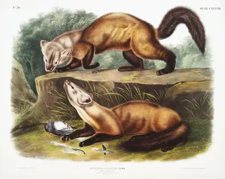 Knjiga kao glavni lik - slika 1