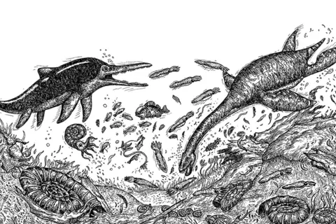 Dušan Krtolica, srpsko čudo od deteta, zadivilo planetu svojim crtežima - slika 2