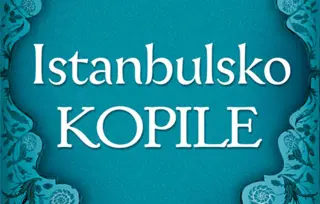 Iz pera Ljubice Arsić o romanu „Istanbulsko kopile“: Poslastice za ničiju decu
