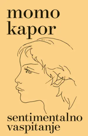 sentimentalno-vaspitanje