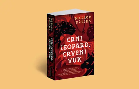 Marlon Džejms: Čitalac treba da složi kockice - slika 1