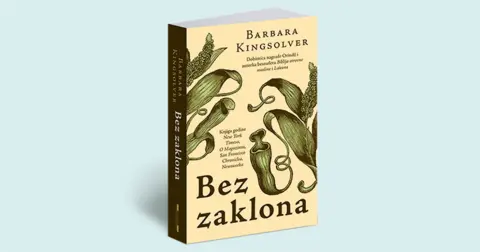 Bez zaklona - slika 1