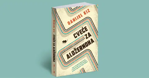 Suze za Aldžernona - slika 1