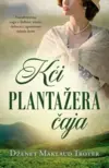 24033-kci-plantazera-caja-v
