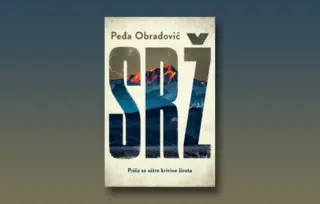 Prikaz romana „Srž“: Sva su jutra u bolnici siva