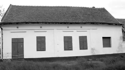 Srbija, istorija i zločin: Priča o baba Anujki, „banatskoj trovačici i prvoj serijskoj ubici u Srbiji“ - slika 8