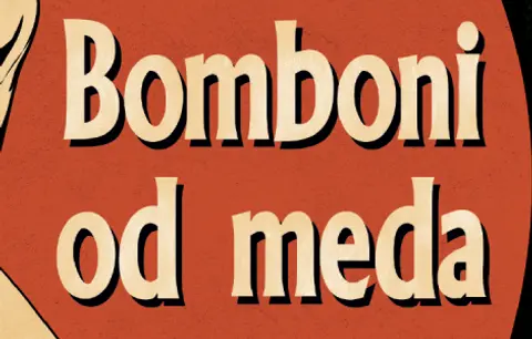 Zanosna i bolna Hasanaginica naših dana – intervju sa Milanom Vlaović - slika 1