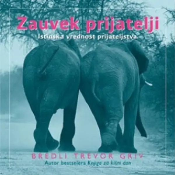 Slika 0 - Zauvek prijatelji
