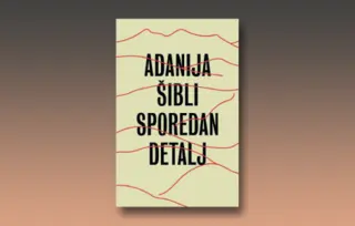 Prikaz romana „Sporedan detalj“: Lekcija iz morala