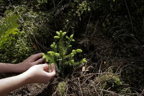 4-Photo-Bjorvika-Utvikling-by-Kristin-von-Hirsch-mladice-u-sumi-Nurmarka