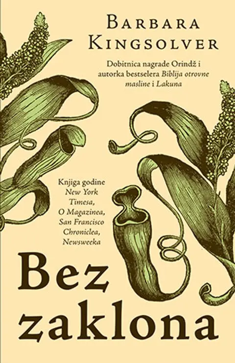 bez-zaklona-barbara-kingsolver-v