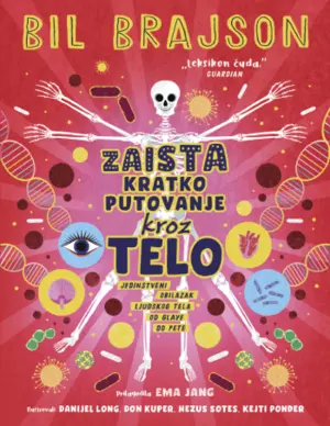 zaista-kratko-putovanje-kroz-telo-korice-1