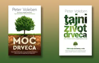 Šuma blista (ali samo ako joj to dozvolimo): Moć i tajni život drveća
