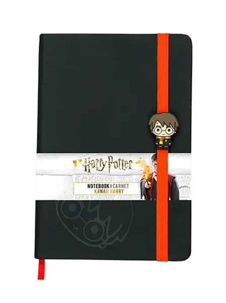 Slika 0 - Agenda - Harry Potter, Harry Potter