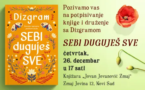 Dizgram u Beogradu i Novom Sadu - slika 2