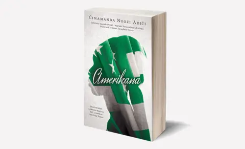 Čimamanda Ngozi Adiči govori o romanu „Amerikana“ i dobijanju nagrade „The One Book, One New York“ - slika 1