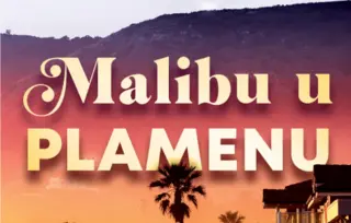 Prikaz romana „Malibu u plamenu“ Tejlor Dženkins Rid