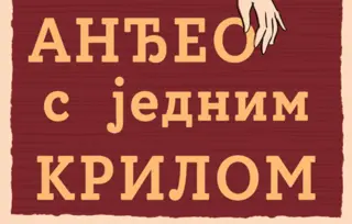 Emotivna priča za celu porodicu – „Anđeo s jednim krilom“ Ljiljane Šarac