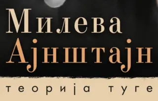 Prikaz romana „Mileva Ajnštajn: Teorija tuge“