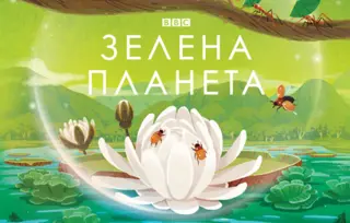 Prikaz knjige „Zelena planeta“: Oslušnite priču biljaka