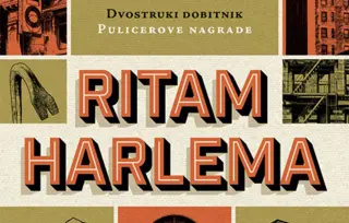 Prikaz romana „Ritam Harlema“: Na štetu zajednice