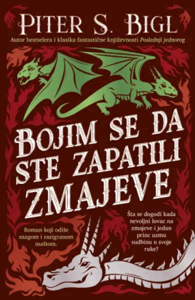 Slika 0 - Bojim se da ste zapatili zmajeve