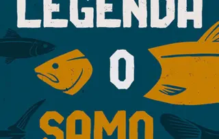 Prikaz romana „Legenda o samoubistvu“: Kad lososi polete