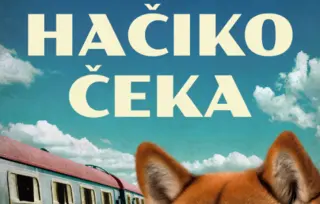 Prikaz mladih kritičara: „Hačiko čeka“