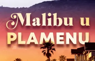 Prikaz hita „Malibu u plamenu“ Tejlor Dženkins Rid: Vatreni miks glamuroznog sveta slavnih i porodične drame