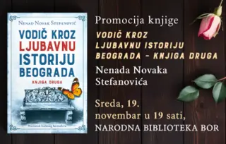 Nenad Novak Stefanović u Boru