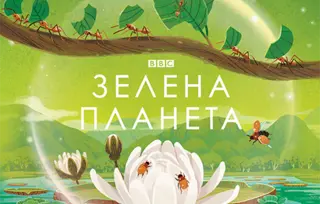 Dečja knjiga meseca – „Zelena planeta“