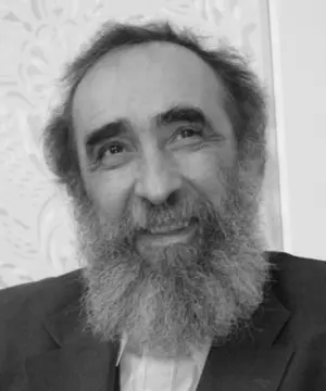 odbrana-i-propast-bodroga-miroslav-josic-visnjic-1