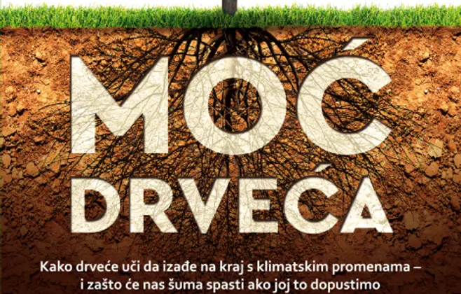 Prikaz knjige „Moć drveća“: Dozvolimo šumama da se same obnove